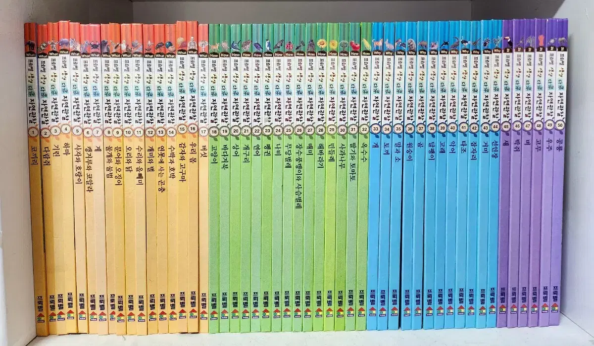 마술피리그림책 꼬마 약80권 마술피리 그림책 꼬마 시리즈 1~80권 팝니다 | 브랜드 중고거래 플랫폼